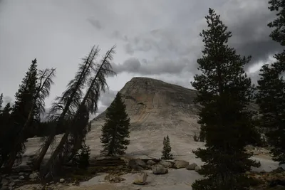 DSC_4433 (Large).JPG